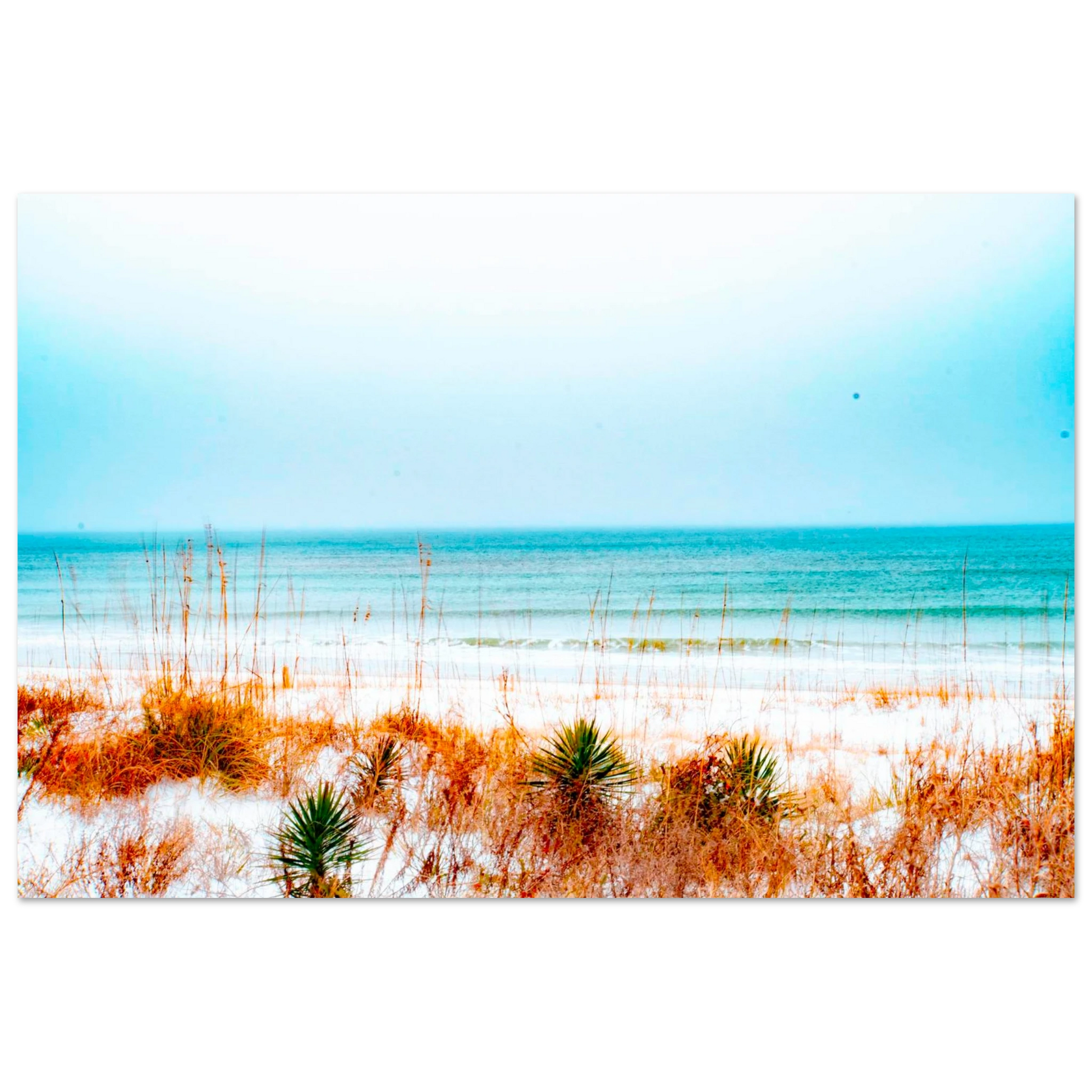 8a000609-b782-469d-a11e-3f7e718596b1