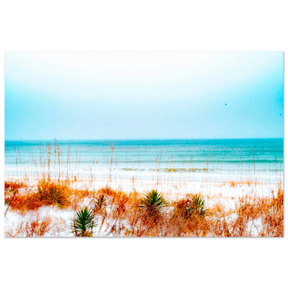 8a000609-b782-469d-a11e-3f7e718596b1